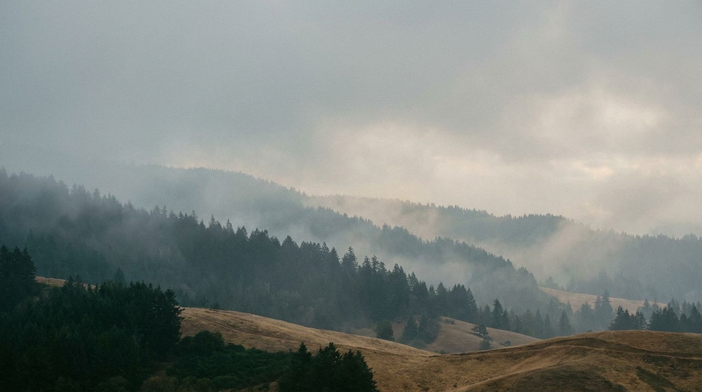 Layered Pacific Northwest evergreen ridgelines receding into morning fog